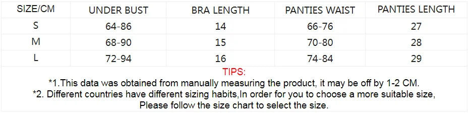 Sheer Mesh Embroidery Bra & Thong Set (2pcs)